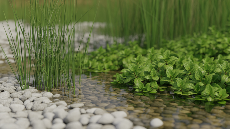 découvrez comment réussir l'assainissement écologique chez vous grâce à la phytoépuration, une méthode naturelle et durable pour traiter les eaux usées.